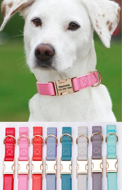 PREORDER: Engraved Dog Collar 1.13.25