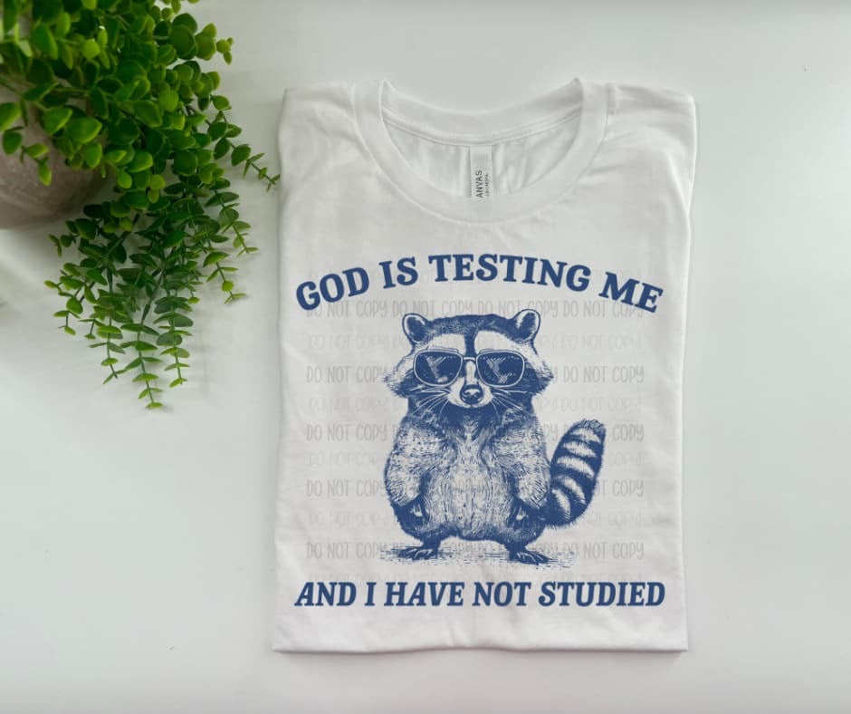 God Is Testing Me And I Have Not Studied Raccoon - Custom