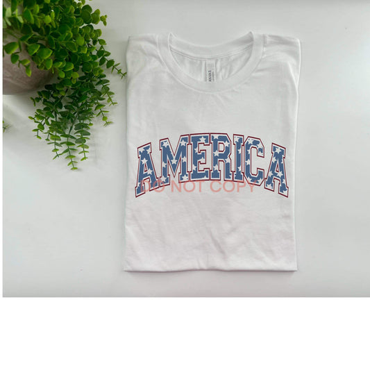 America University - Custom