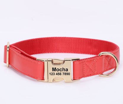 PREORDER: Engraved Dog Collar 1.13.25