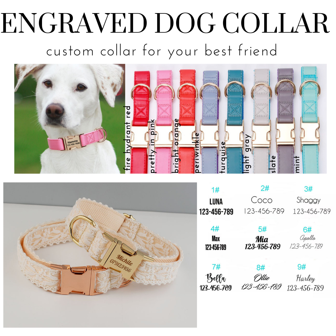 PREORDER: Engraved Dog Collar 1.13.25